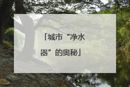 城市“净水器”的奥秘