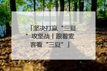 坚决打赢“三夏”攻坚战丨跟着麦客看“三夏”