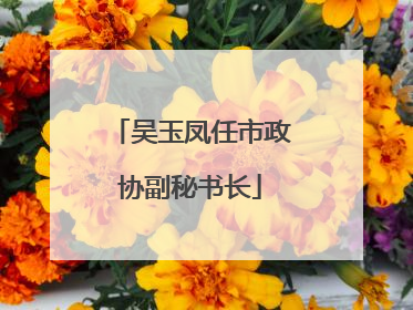 吴玉凤任市政协副秘书长