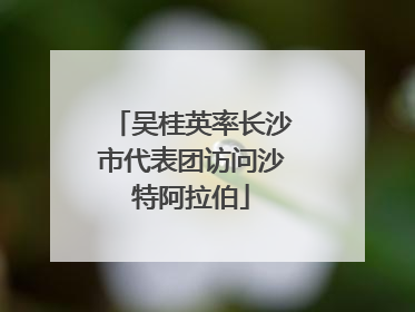 吴桂英率长沙市代表团访问沙特阿拉伯