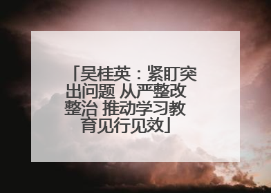吴桂英：紧盯突出问题 从严整改整治 推动学习教育见行见效