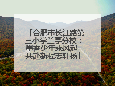 合肥市长江路第三小学兰亭分校：墨香少年乘风起 共赴新程志轩扬
