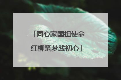 同心家国担使命 红柳筑梦践初心