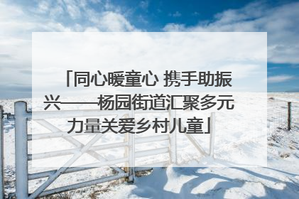 同心暖童心 携手助振兴——杨园街道汇聚多元力量关爱乡村儿童