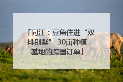 同江：豆角住进“双排别墅” 30亩种植基地的跨国订单