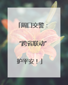周口交警：“跨省联动”护平安！