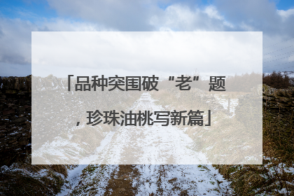 品种突围破“老”题，珍珠油桃写新篇