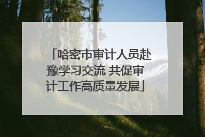 哈密市审计人员赴豫学习交流 共促审计工作高质量发展