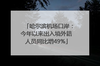 哈尔滨机场口岸：今年以来出入境外籍人员同比增49%