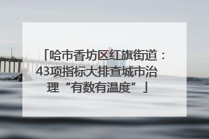 哈市香坊区红旗街道：43项指标大排查城市治理“有数有温度”