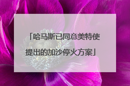 哈马斯已同意美特使提出的加沙停火方案