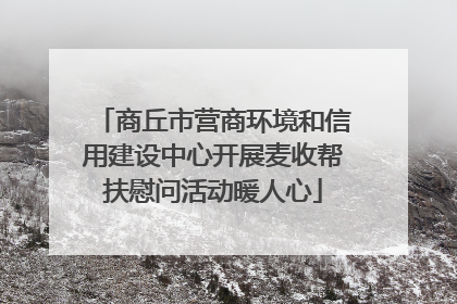 商丘市营商环境和信用建设中心开展麦收帮扶慰问活动暖人心