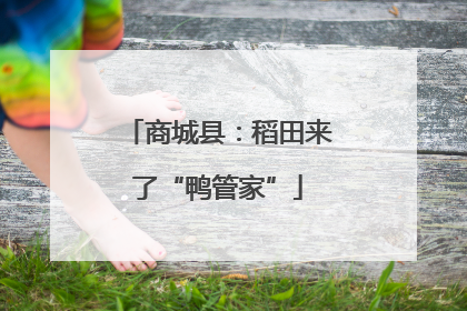 商城县：稻田来了“鸭管家”