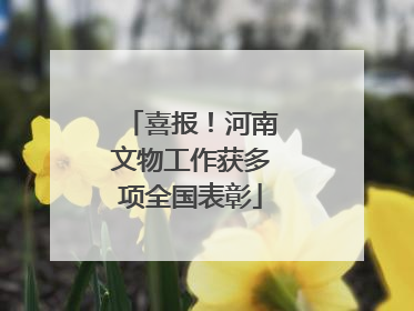 喜报！河南文物工作获多项全国表彰