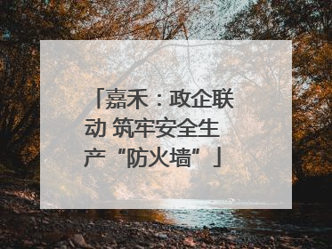 嘉禾：政企联动 筑牢安全生产“防火墙”
