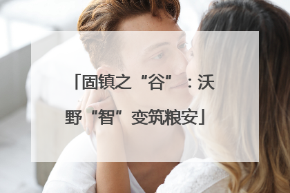 固镇之“谷”：沃野“智”变筑粮安
