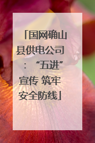 国网确山县供电公司：“五进”宣传 筑牢安全防线