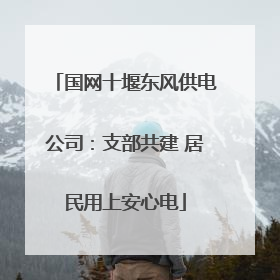国网十堰东风供电公司：支部共建 居民用上安心电