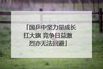 国乒中坚力量成长扛大旗 竞争日益激烈亦无法回避