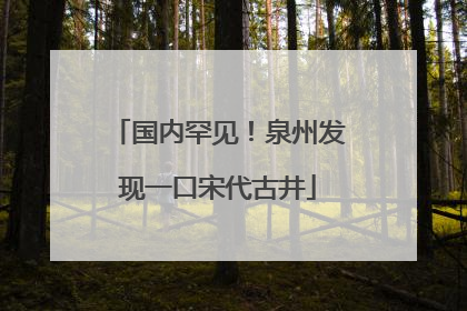 国内罕见！泉州发现一口宋代古井