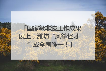 国家级非遗工作成果展上，潍坊“风筝怪才”成全国唯一！