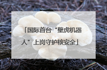国际首台“壁虎机器人”上岗守护核安全