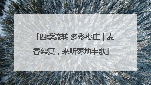 四季流转 多彩枣庄｜麦香染夏，来听枣地丰歌