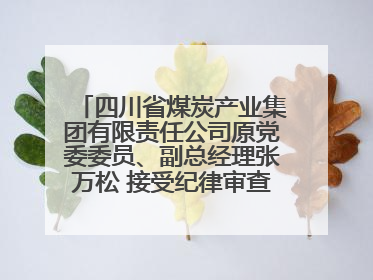 四川省煤炭产业集团有限责任公司原党委委员、副总经理张万松 接受纪律审查和监察调查
