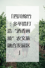 四川绵竹：多举措打造“酒香画境”农文旅融合发展区