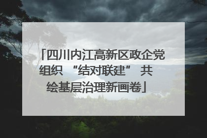 四川内江高新区政企党组织 “结对联建” 共绘基层治理新画卷