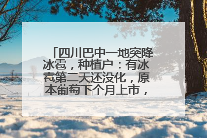 四川巴中一地突降冰雹，种植户：有冰雹第二天还没化，原本葡萄下个月上市，现在全被打落