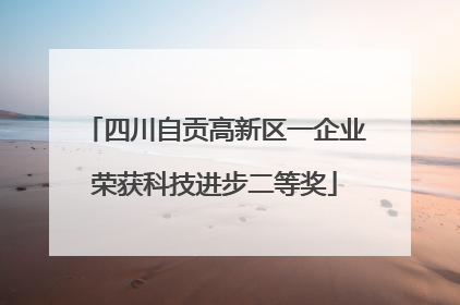四川自贡高新区一企业荣获科技进步二等奖