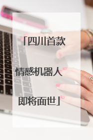 四川首款情感机器人即将面世