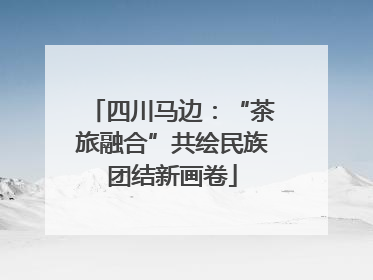 四川马边：“茶旅融合”共绘民族团结新画卷