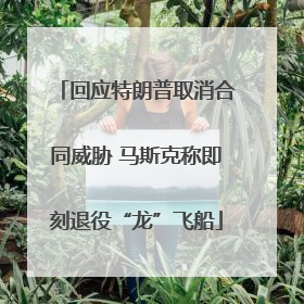 回应特朗普取消合同威胁 马斯克称即刻退役“龙”飞船