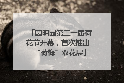 圆明园第三十届荷花节开幕，首次推出“荷梅”双花展