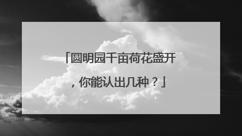 圆明园千亩荷花盛开，你能认出几种？
