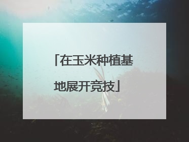 在玉米种植基地展开竞技
