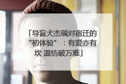 导盲犬杰瑞对宿迁的“初体验”：有爱亦有坎 温情破万难