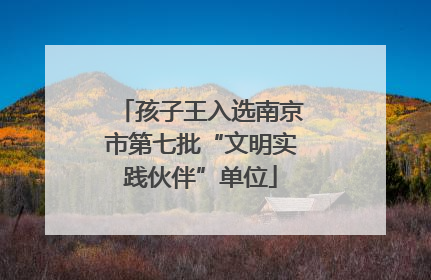 孩子王入选南京市第七批“文明实践伙伴”单位