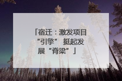 宿迁：激发项目“引擎” 挺起发展“脊梁”