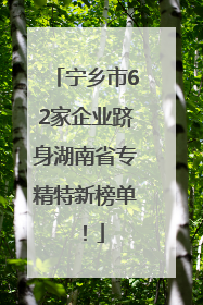 宁乡市62家企业跻身湖南省专精特新榜单！