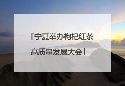 宁夏举办枸杞红茶高质量发展大会