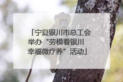 宁夏银川市总工会举办“劳模看银川 幸福微疗养”活动