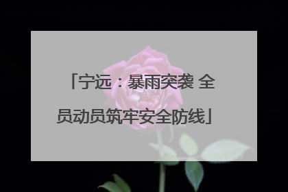 宁远：暴雨突袭 全员动员筑牢安全防线