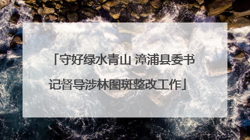 守好绿水青山 漳浦县委书记督导涉林图斑整改工作