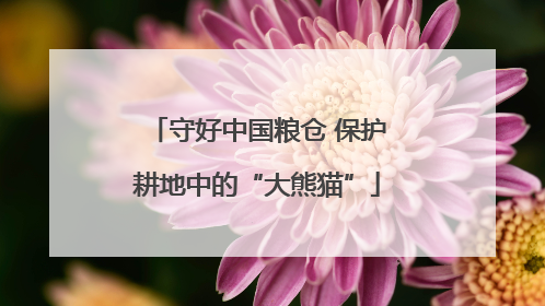 守好中国粮仓 保护耕地中的“大熊猫”