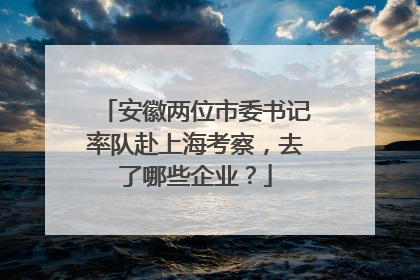 安徽两位市委书记率队赴上海考察，去了哪些企业？