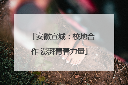 安徽宣城：校地合作 澎湃青春力量