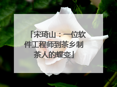宋琦山：一位软件工程师到茶乡制茶人的蝶变